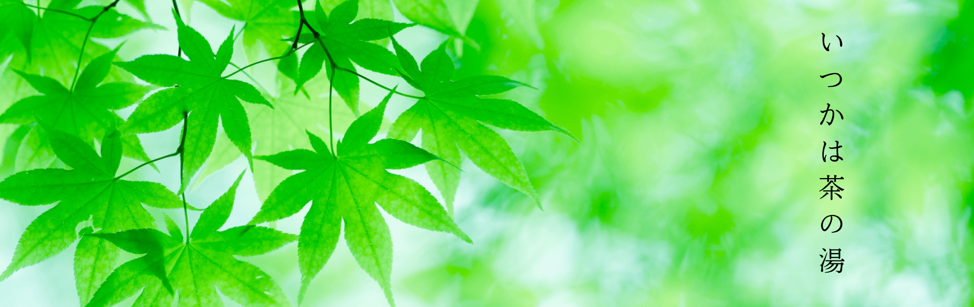 光の中の青楓といつかは茶の湯の文言